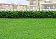 Lot for Sale in Pili, Camarines Sur